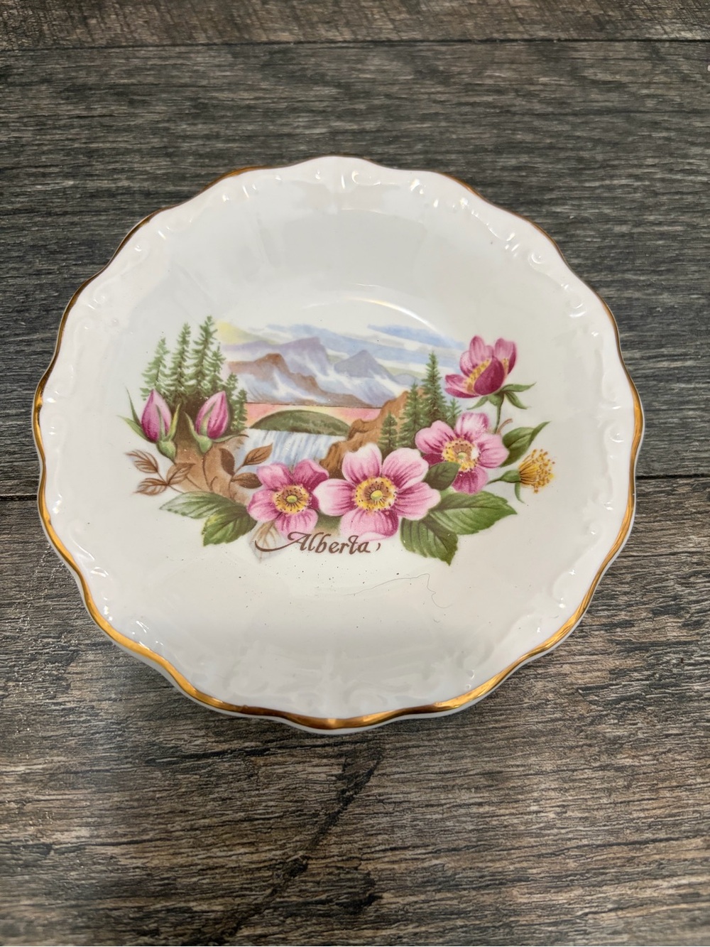 Alberta Canadian classic fine bone china 5 inch decorative dish plate